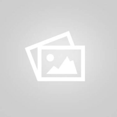 AI for Conceptual Design in Architecture