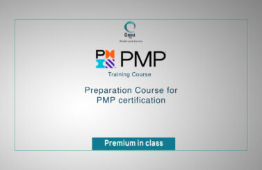 PMI- Project Management Professional Preparation Course